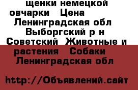 щенки немецкой овчарки › Цена ­ 10 000 - Ленинградская обл., Выборгский р-н, Советский  Животные и растения » Собаки   . Ленинградская обл.